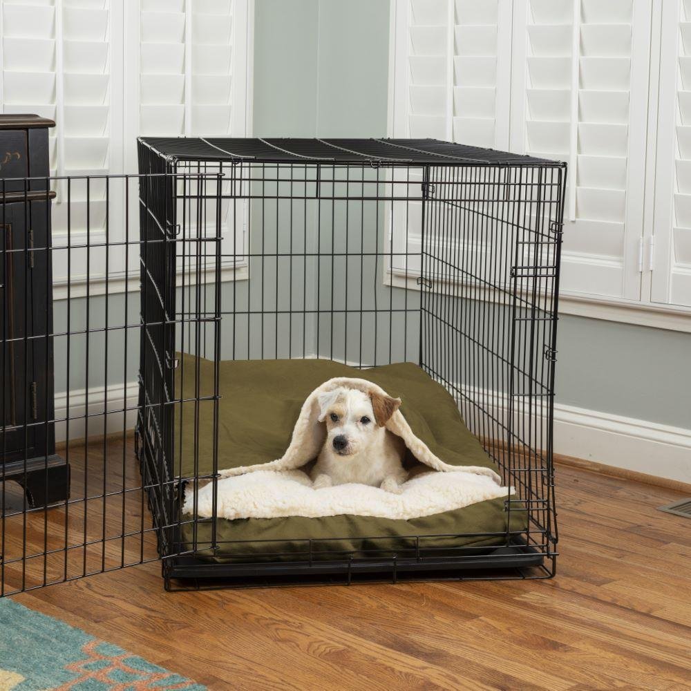 Creating​ a Safe ‍and Cozy Sleep Environment for Your Giant ⁢Dog